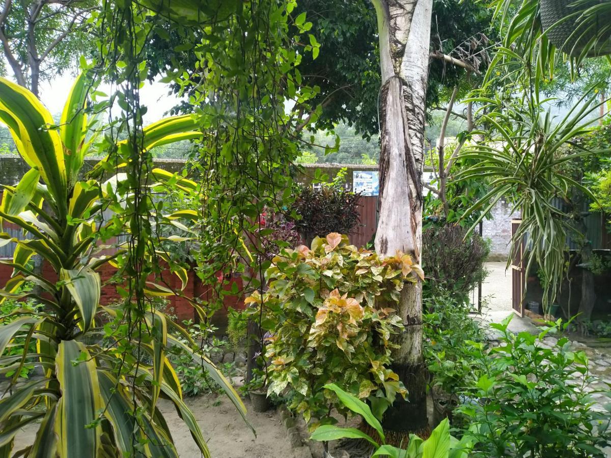 Last Chance Cafe And Guest House Rishīkesh Exteriör bild
